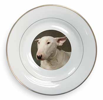 Bull Terrier Dog Gold Rim Plate Printed Full Colour in Gift Box