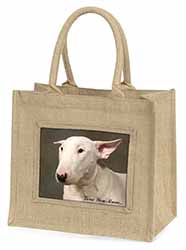 White Bull Terrier 