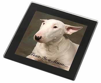 White Bull Terrier 