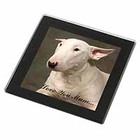 White Bull Terrier 