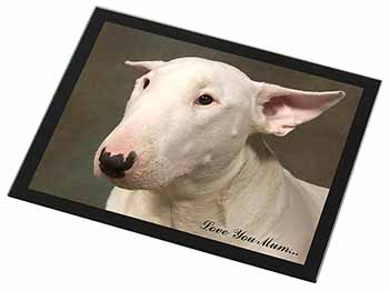 White Bull Terrier 