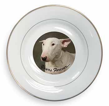 Bull Terrier Dog "Yours Forever" Gold Rim Plate Printed Full Colour in Gift Box