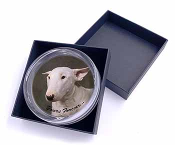 Bull Terrier Dog "Yours Forever" Glass Paperweight in Gift Box