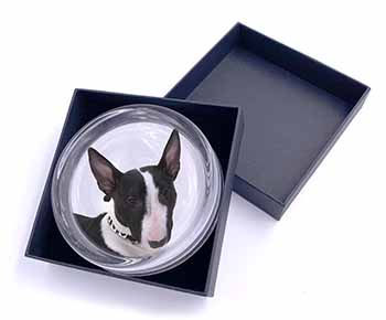 Bull Terrier Dog Glass Paperweight in Gift Box