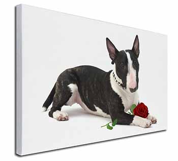 Bull Terrier Dog with Red Rose Canvas X-Large 30"x20" Wall Art Print