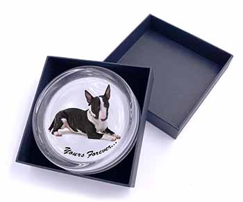 Brindle and White Bull Terrier "Yours Forever..." Glass Paperweight in Gift Box