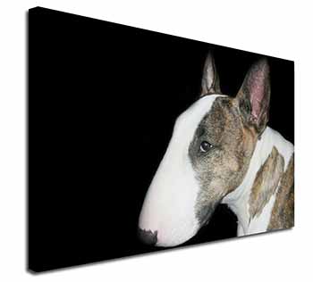 A Beautiful Brindle Bull Terrier Canvas X-Large 30"x20" Wall Art Print