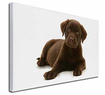 Chesapeake Bay Retriever Dog Canvas X-Large 30"x20" Wall Art Print