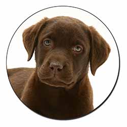 Chesapeake Bay Retriever Dog Fridge Magnet Printed Full Colour