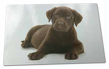 Large Glass Cutting Chopping Board Chesapeake Bay Retriever Dog