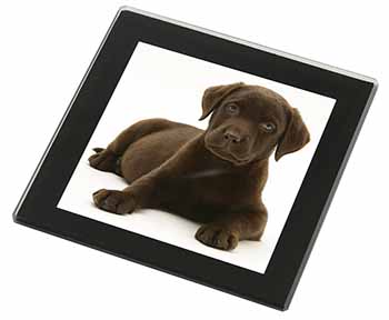 Chesapeake Bay Retriever Dog Black Rim High Quality Glass Coaster