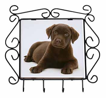 Chesapeake Bay Retriever Dog Wrought Iron Key Holder Hooks