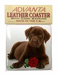 Chesapeake Bay Retriever with Rose Single Leather Photo Coaster