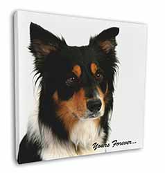 Tri-colour Border Collie Dog "Yours Forever..." Square Canvas 12"x12" Wall Art P