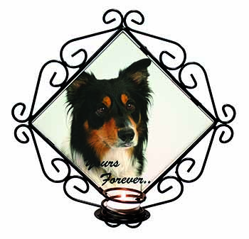 Tri-colour Border Collie Dog "Yours Forever..." Wrought Iron Wall Art Candle Hol