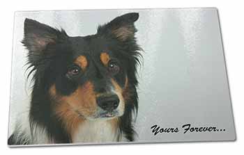 Large Glass Cutting Chopping Board Tri-colour Border Collie Dog "Yours Forever..