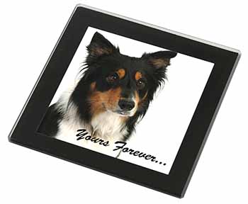 Tri-colour Border Collie Dog "Yours Forever..." Black Rim High Quality Glass Coa