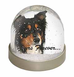 Tri-colour Border Collie Dog "Yours Forever..." Snow Globe Photo Waterball