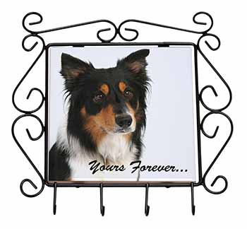 Tri-colour Border Collie Dog "Yours Forever..." Wrought Iron Key Holder Hooks