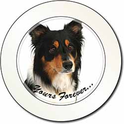 Tri-colour Border Collie Dog "Yours Forever..." Car or Van Permit Holder/Tax Dis