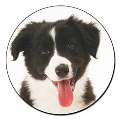 Border Collie Puppy Fridge Magnet Printed Full Colour