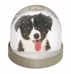 Border Collie Puppy Snow Globe Photo Waterball