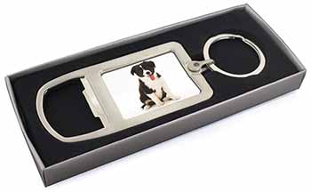 Border Collie Puppy Chrome Metal Bottle Opener Keyring in Box