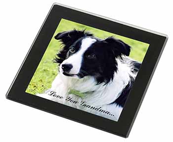 Border Collie Dog 