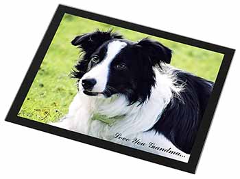 Border Collie Dog 