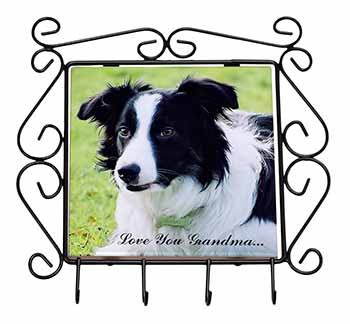 Border Collie Dog 