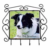 Border Collie Dog 