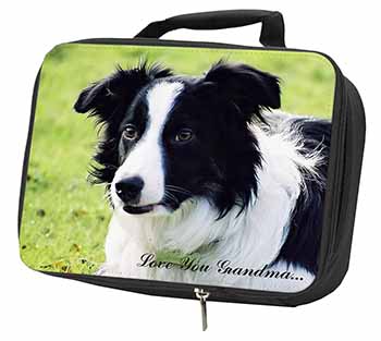 Border Collie Dog 