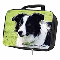 Border Collie Dog 