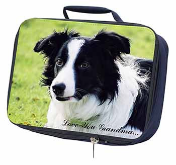 Border Collie Dog 