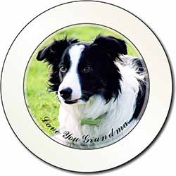 Border Collie Dog 