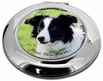 Border Collie Dog 