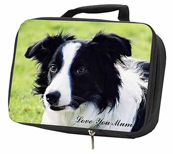 Border Collie Dog 