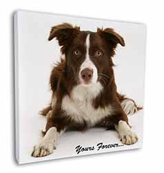 Liver and White Border Collie "Yours Forever..." Square Canvas 12"x12" Wall Art 