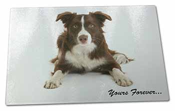 Large Glass Cutting Chopping Board Liver and White Border Collie "Yours Forever.