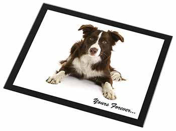 Liver and White Border Collie "Yours Forever..." Black Rim High Quality Glass Pl