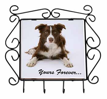 Liver and White Border Collie "Yours Forever..." Wrought Iron Key Holder Hooks