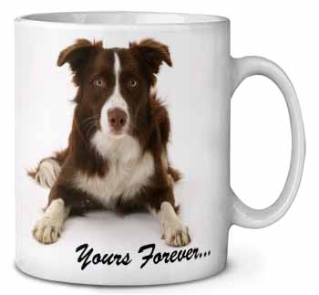 Liver and White Border Collie "Yours Forever..." Ceramic Coffee Mug/Tea Cup