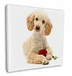 Poodle with Red Rose Square Canvas 12"x12" Wall Art Picture Print