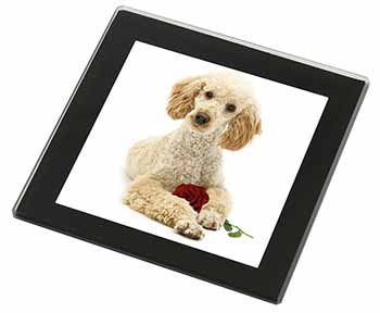 Poodle with Red Rose Black Rim High Quality Glass Coaster