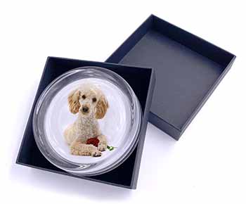 Poodle with Red Rose Glass Paperweight in Gift Box