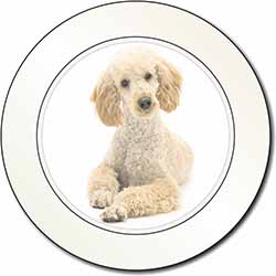 Apricot Poodle Car or Van Permit Holder/Tax Disc Holder