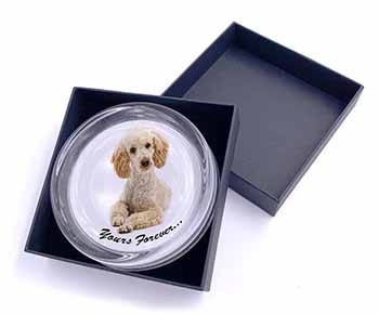 Apricot Poodle "Yours Forever..." Glass Paperweight in Gift Box