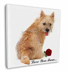 Cairn Terrier+Rose 