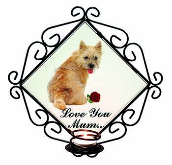 Cairn Terrier+Rose 