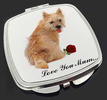 Cairn Terrier+Rose 